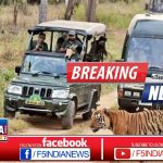 Murder of monkeys: Five arrested