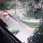 Former Maharashtra governor and Karnataka chief minister SM Krishna passes away at age 92.